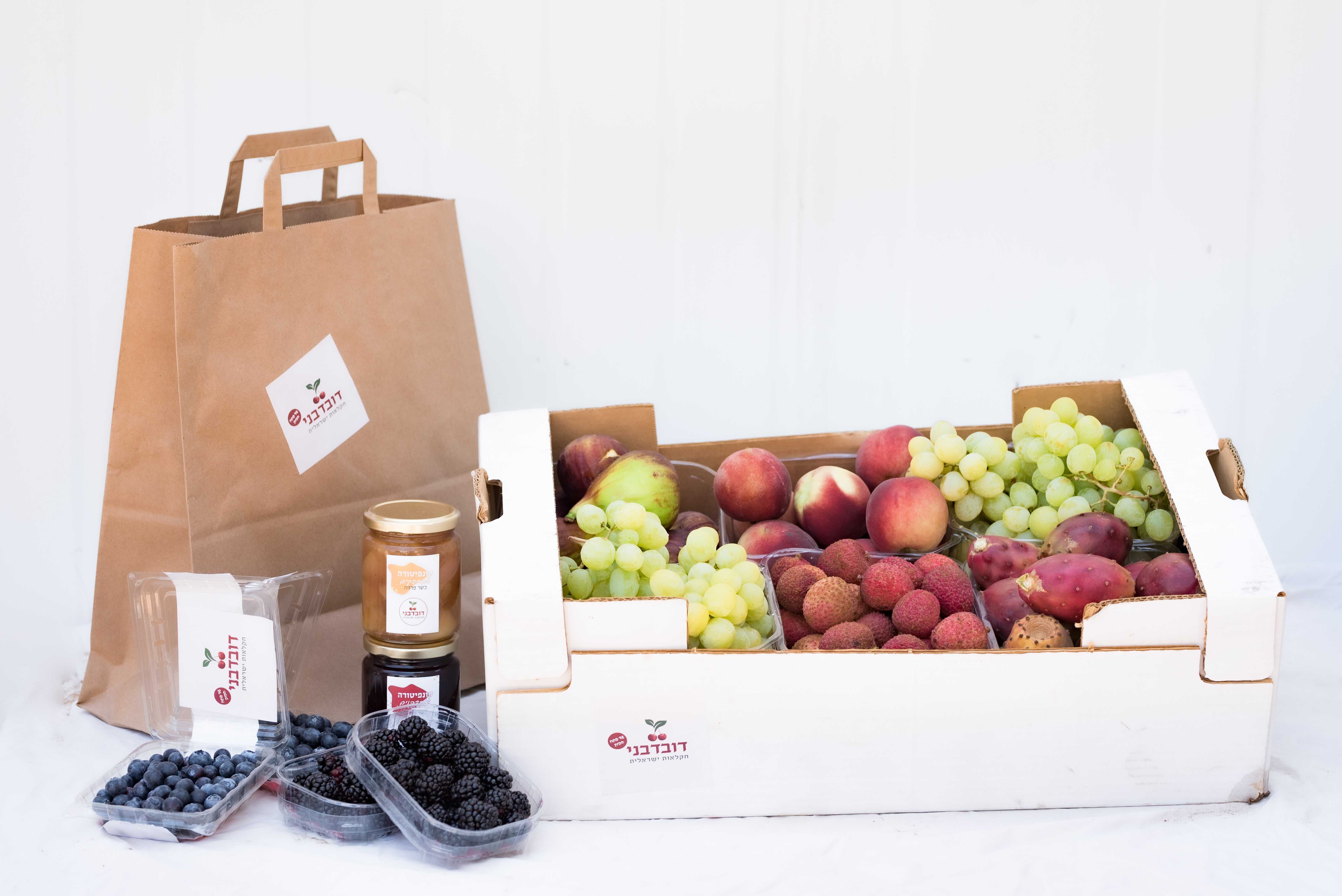 סלט פירות עונתי